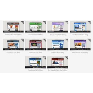 10 PLR Niche WP Themes