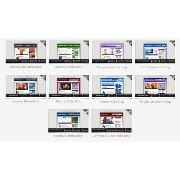 10 PLR Niche WP Themes