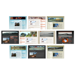 50 Plus WordPress Themes