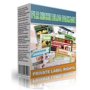 PLR Niche Blog Package WP Themes
