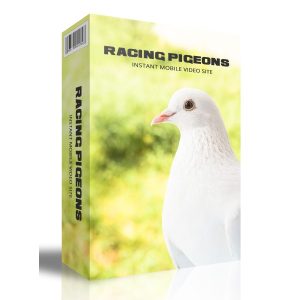 Racing Pigeons Instant Mobile Video Site
